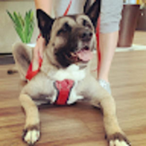 Meet your Posher, Sabrina